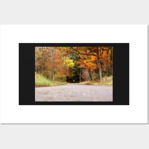 Autumn Tree Tunnel Wall Art by 1Redbublppasswo